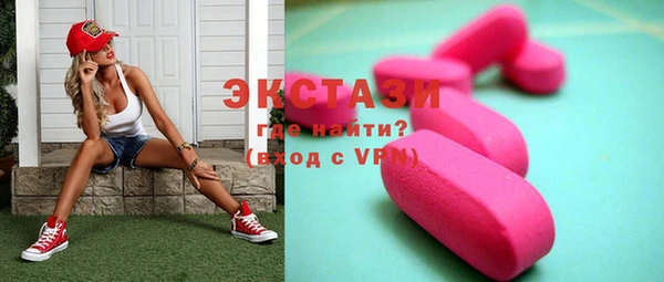 индика Володарск