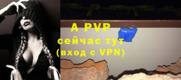 индика Володарск