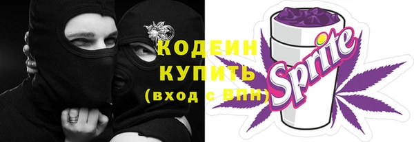 индика Володарск