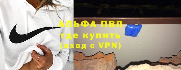 индика Володарск