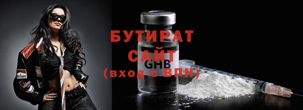 индика Володарск