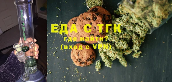 гашик Курчалой