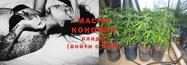 индика Володарск