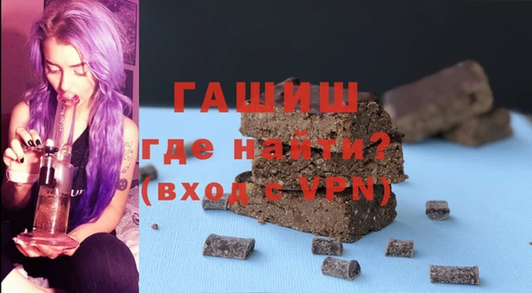 индика Володарск