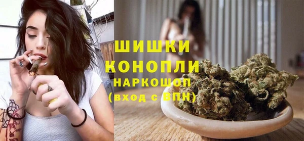 индика Володарск