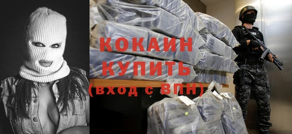 индика Володарск