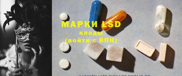 индика Володарск
