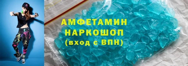индика Володарск