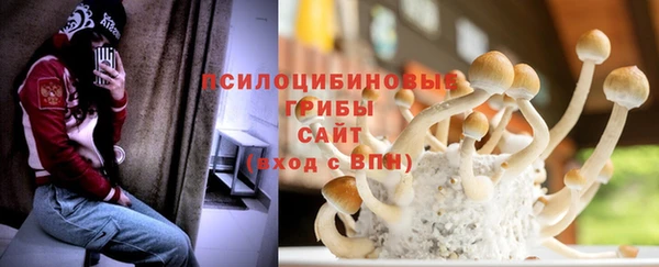 индика Володарск