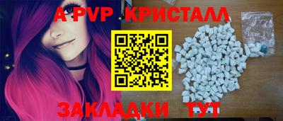 кокс Кингисепп