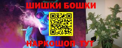 кокс Кингисепп