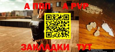 кокс Кингисепп