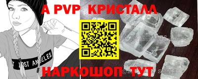 кокс Кингисепп