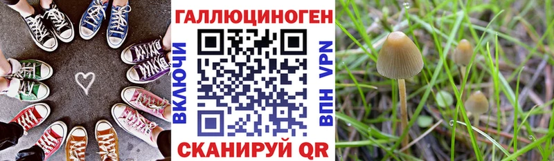 Псилоцибиновые грибы ЛСД Междуреченск