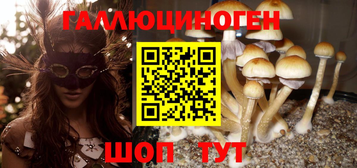 Междуреченск  Галлюциногенные грибы Magic Shrooms  Вход с VPN  Псилоцибиновые грибы Psilocybe 